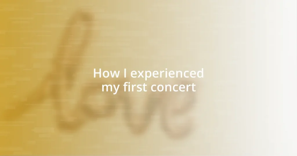 How I experienced my first concert