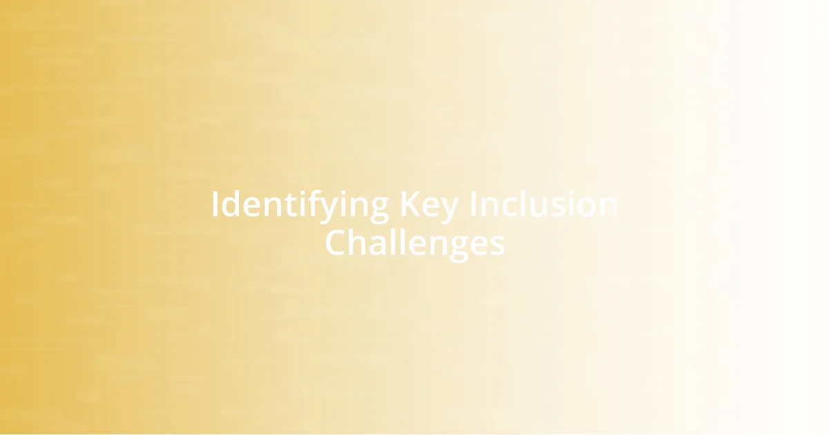 Identifying Key Inclusion Challenges