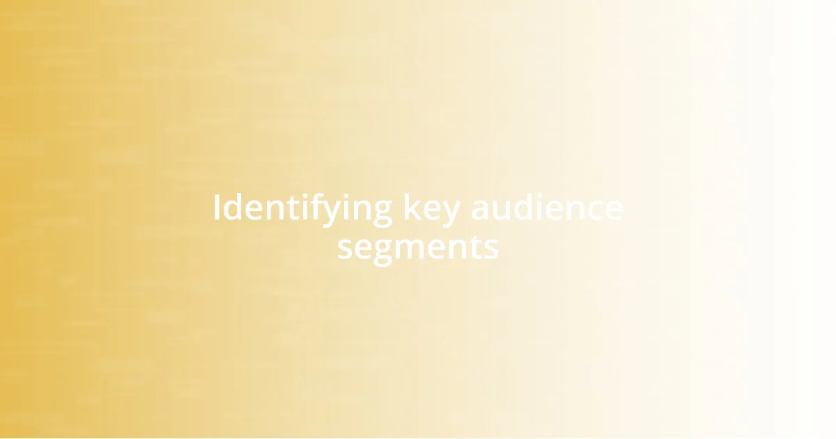 Identifying key audience segments