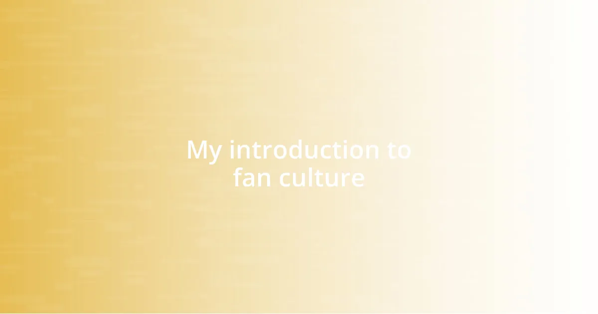 My introduction to fan culture