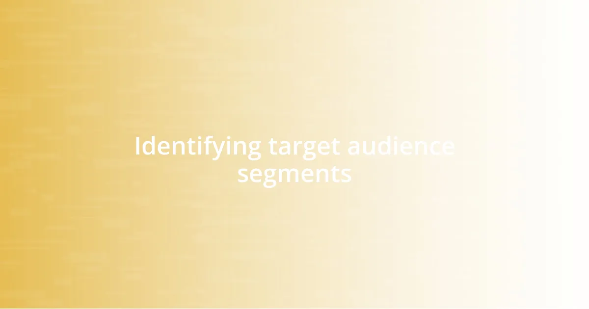 Identifying target audience segments